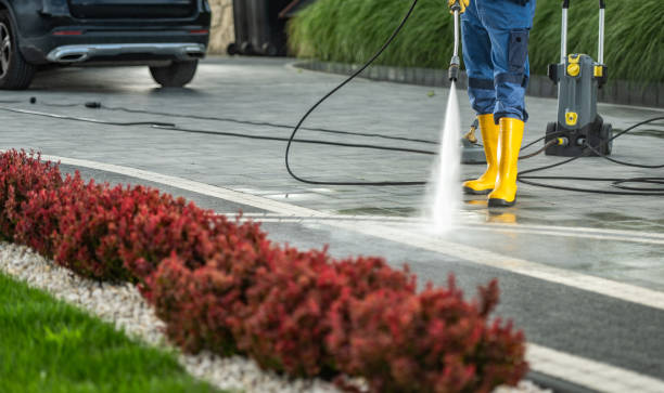 Best Solar Panel Cleaning  in Grand Terrace, CA